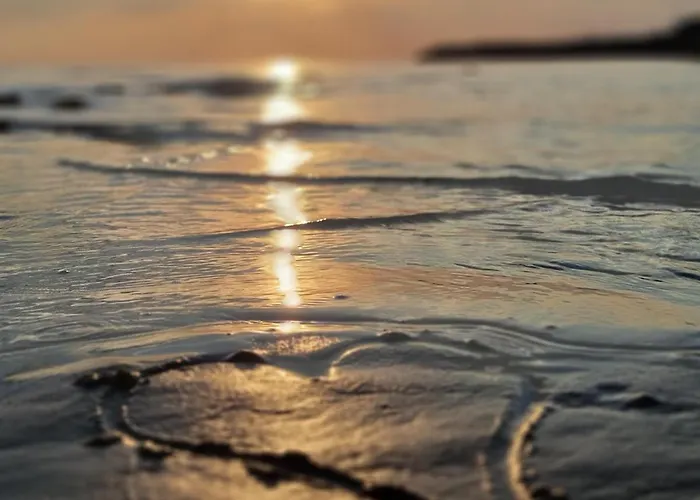 公寓 Tuomenkartano B1 Iso Saunalla